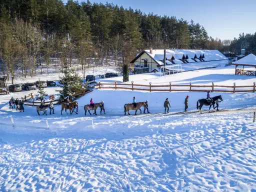 Jazda konna po śniegu w malowniczej scenerii. Idealne ferie zimowe 2026 pomorskie dla miłośników koni i zimy.