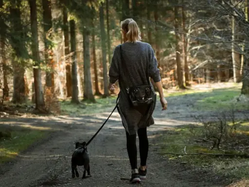 Spacer po lesie z psem to idealny sposób na odkrycie ciekawych miejsc 100km od Warszawy.