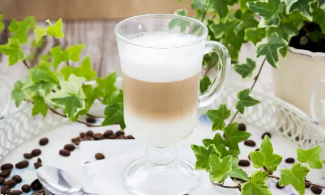 Jak zrobić latte? Warstwowy napój kawowy w szklance, otoczony bluszczem i ziarnami kawy.